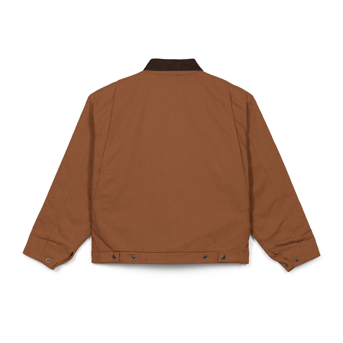 Chaqueta GONZÉ Skull Duck marrón vista por detrás